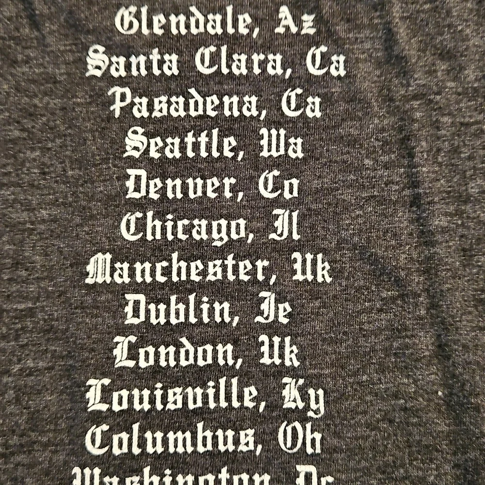 Taylor Swift  gray short sleeve graphic concert tee Med. REPUTATION tour dates - Picture 7 of 9